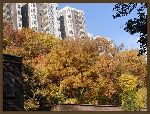 PB100006.jpg