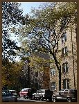 PB100008.jpg